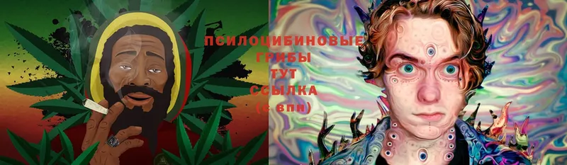 Псилоцибиновые грибы Magic Shrooms  Павлово 